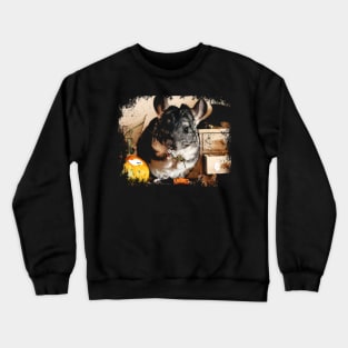 Whisker Wonders Chinchilla Antics, Trendsetting Tee for Furry Aficionados Crewneck Sweatshirt